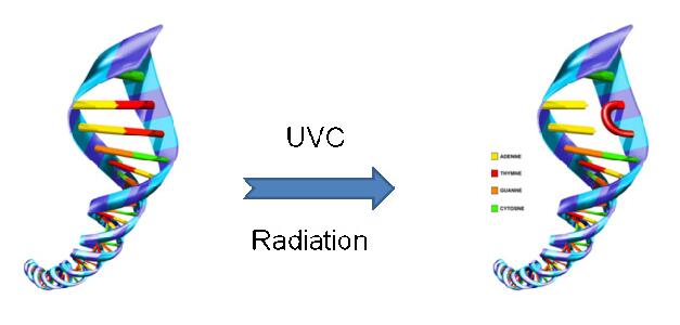 杀菌消毒用的医疗冷光源维海立信 杀菌消毒用的医疗冷光源维海立信